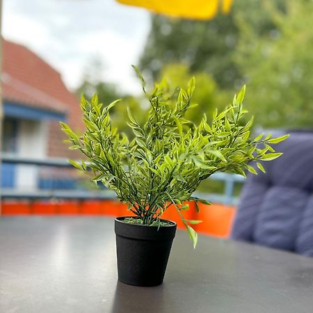 Feriendorf Papillon Wohnung 03-7 Boltenhagen  Eksteriør billede