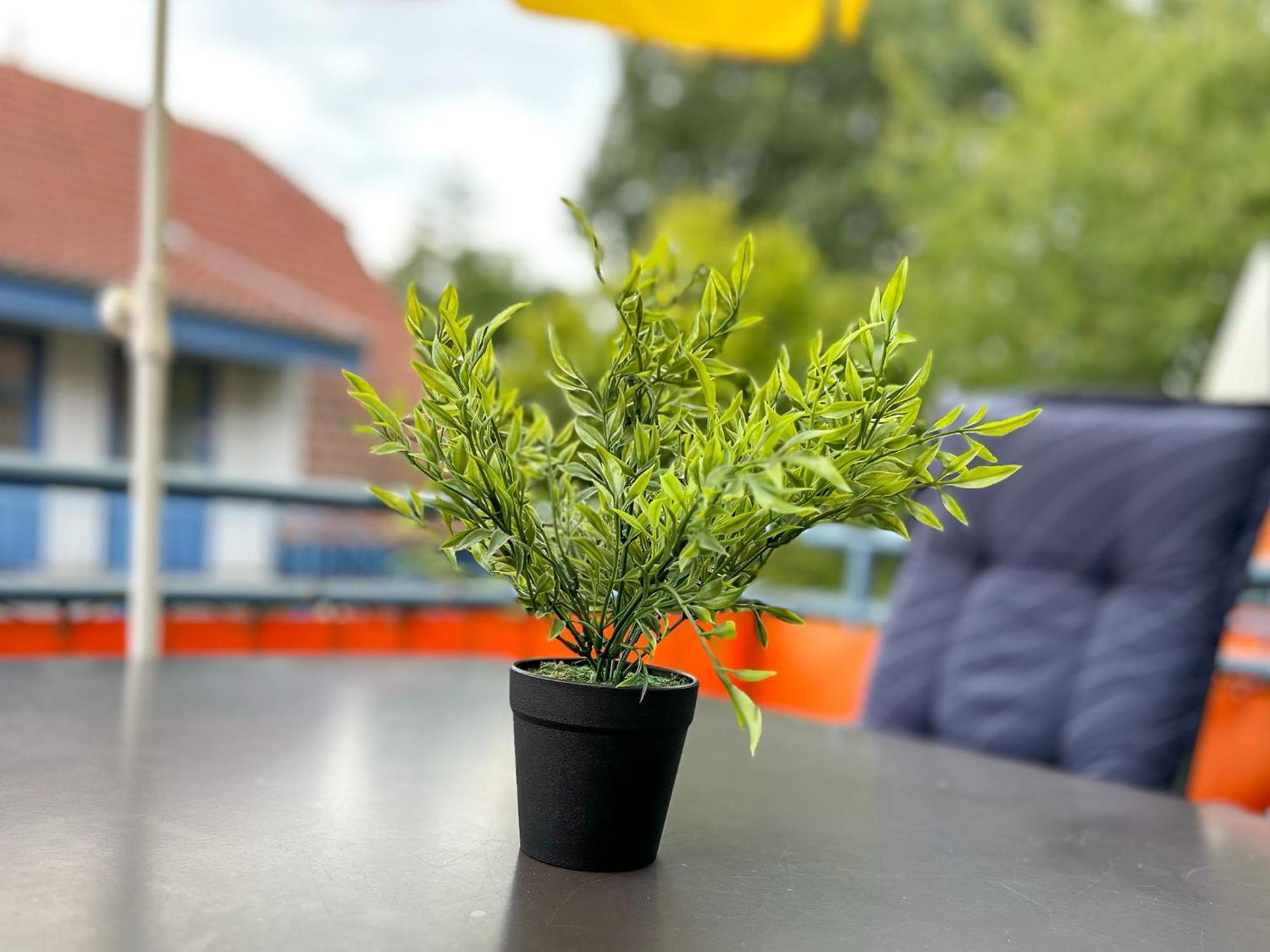 Feriendorf Papillon Wohnung 03-7 Boltenhagen  Eksteriør billede